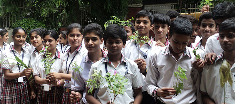 Plant a Sapling Activity - Learning importance of planting trees and taking it as a responsibility to contribute